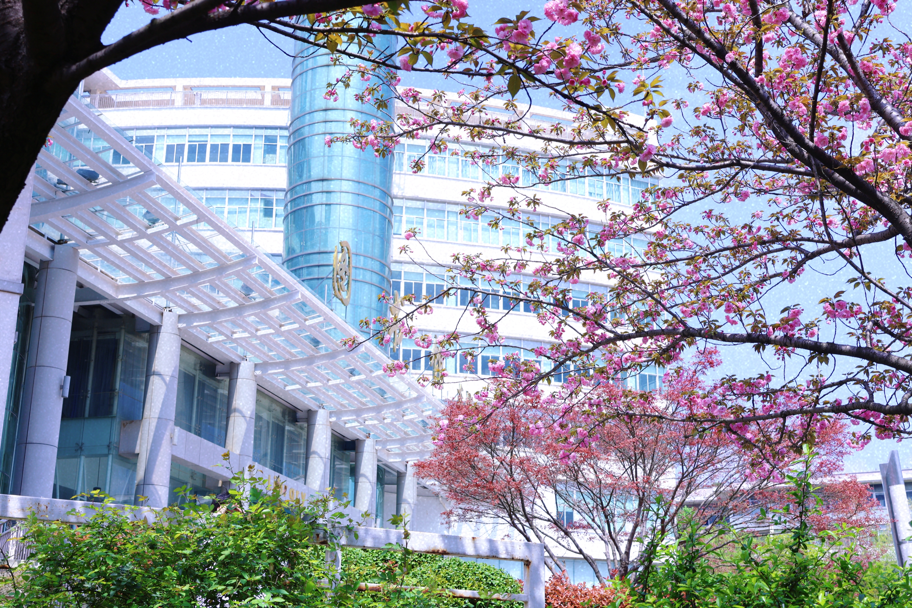 袁明英4月.jpg