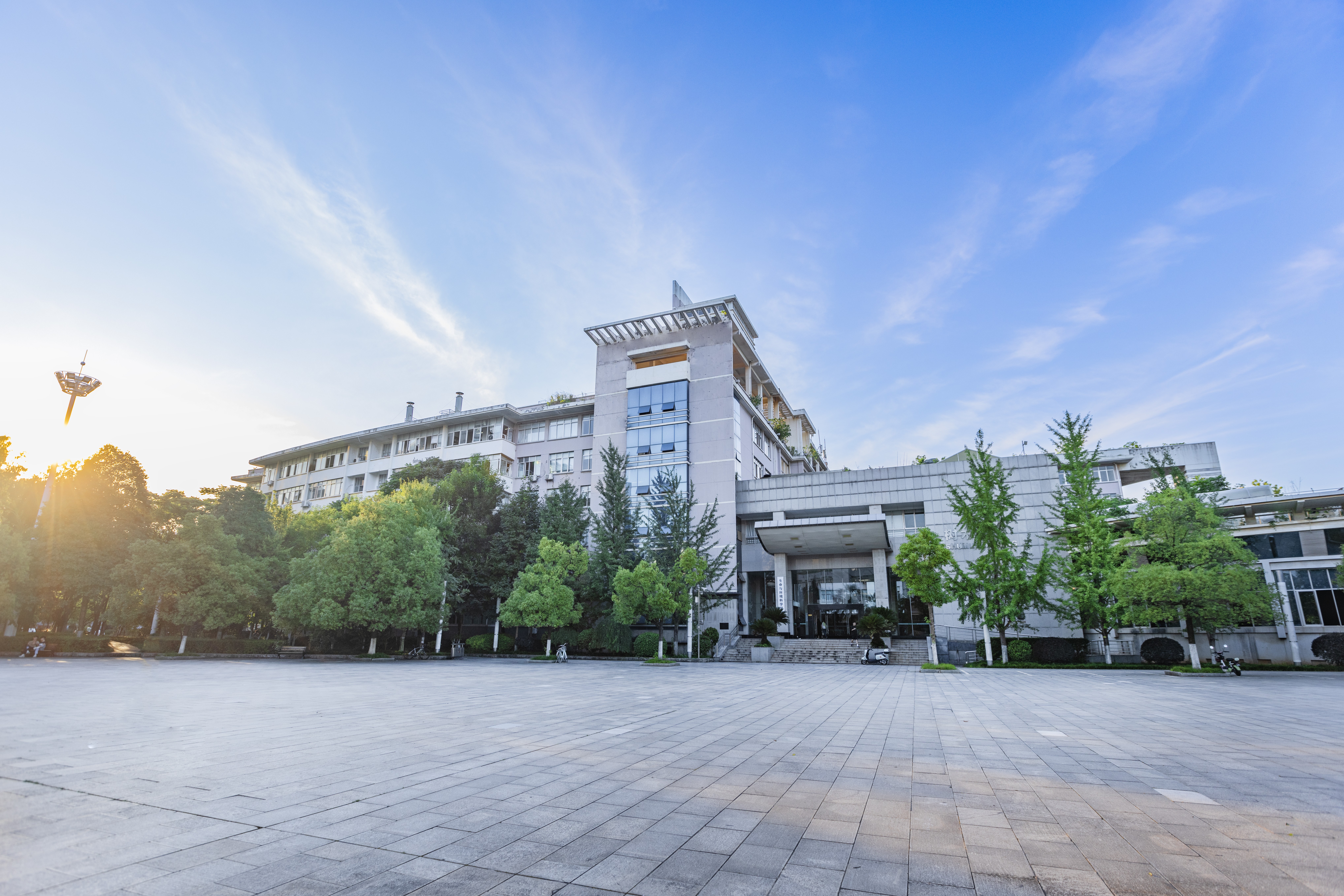 光影树木楼.jpg